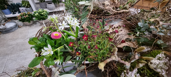 TAUSENDSCHÖN - Floristik & Dekoration, Blumen