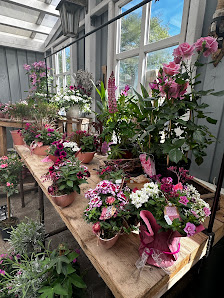 Blumen Brauer