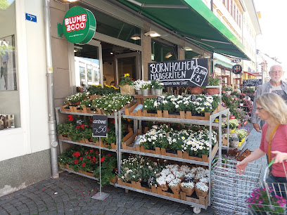 BLUME2000 Suhl