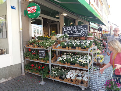 BLUME2000 Suhl