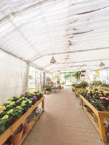 Gärtnerei Kleensang