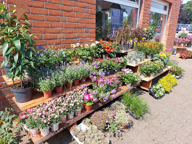 Blumen Paradies