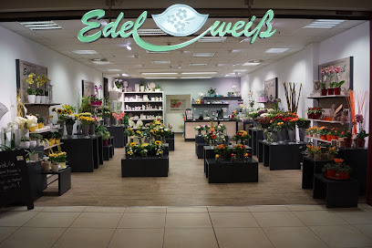 Blumen Edelweiß Weimar Atrium