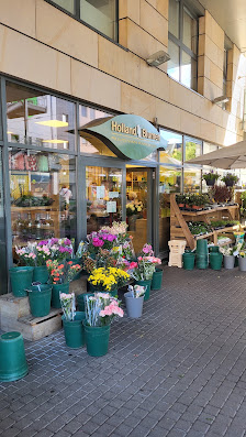 Holland Blumen Ruud van Paridon
