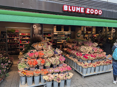 BLUME2000 Hannover PopUp