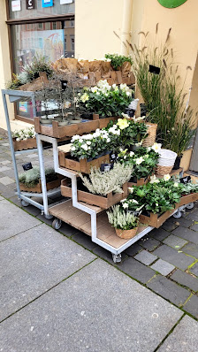 BLUME2000 Altenburg
