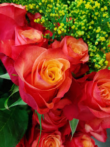 Rahnsdorfer Blumenwelt