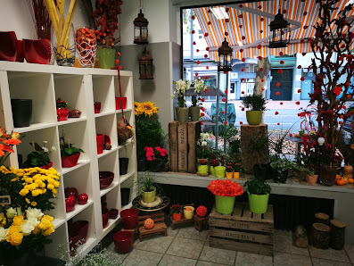Blumen Flora
