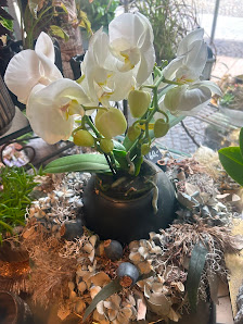 Eine Lebensart Blumen und Geschenke