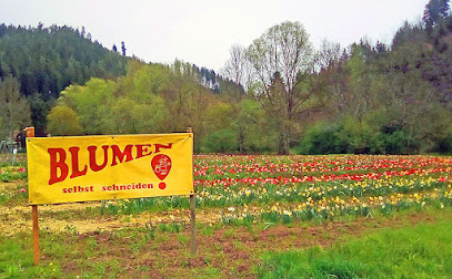 Blumenfelder Kentheim