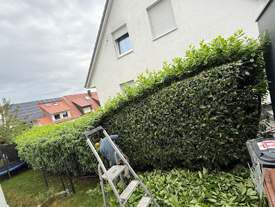 Usmann Garten und Landschaftsbau