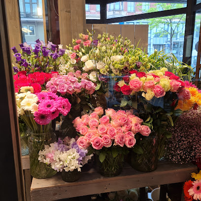 Blumen Zaubernuß