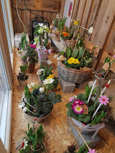 Kreativfloristik Bergblüte