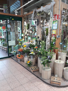 Dehner Garten-Center