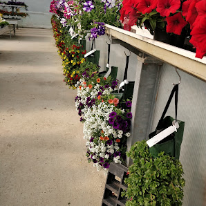 Blumen Osswald