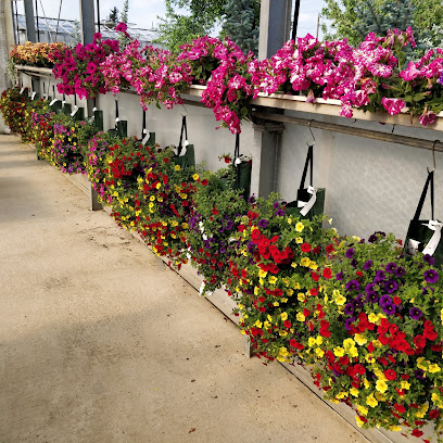 Blumen Osswald