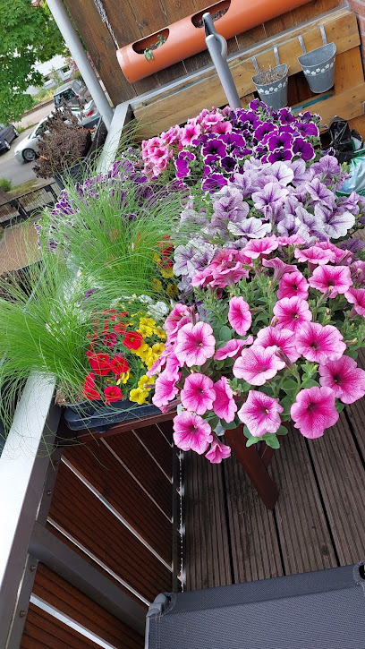 Blumen König