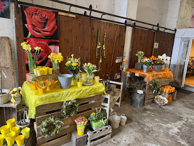 Rosen Bähr - Blumenladen in Friesenheim