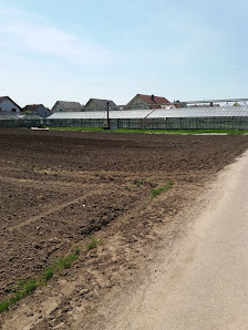 Gärtnerei Löskow