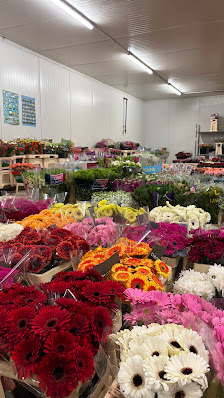 Rosen Bähr - Blumengroßhandel in Friesenheim