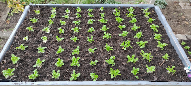 Gartenbau Welzel
