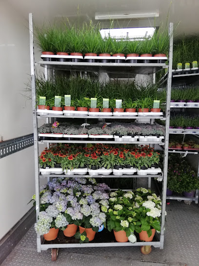 Blumengeschäft