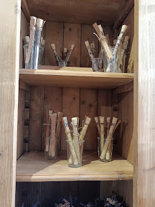 Florale Gestaltung und Design