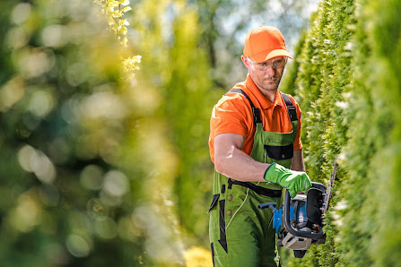 Gartenpflege Firma - Cham