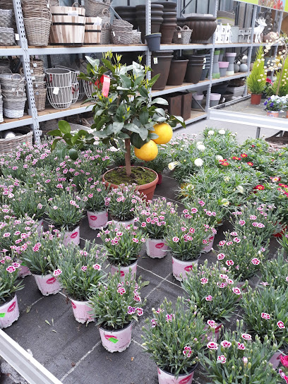 Gartencenter