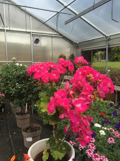 Blumendesigner in Perach