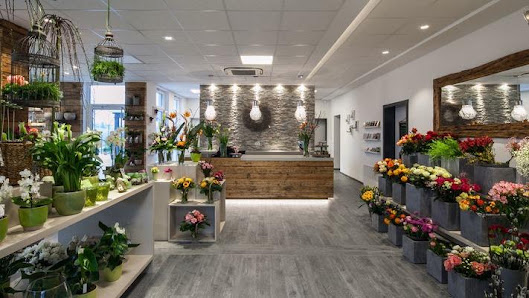 Blumen + RAUM Inh. Daniel Moscariello