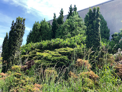 Heinzelmann Frischblume GmbH