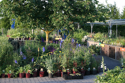 Bamberger Staudengarten Büro