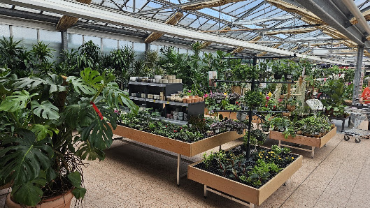 Dehner Garten-Center