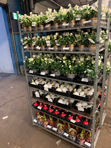 Robert Kresser Blumen-Import e.K.