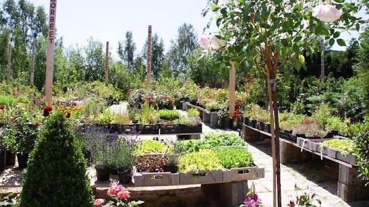 Deeg Garten- und Landschaftsbau GmbH