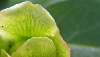 Gartenbauer in Freising