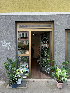 Tante Plantje