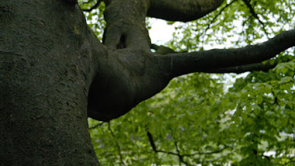 Gartenbau Laßmann