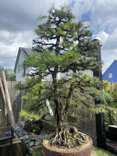 Bonsaigarten Hannover