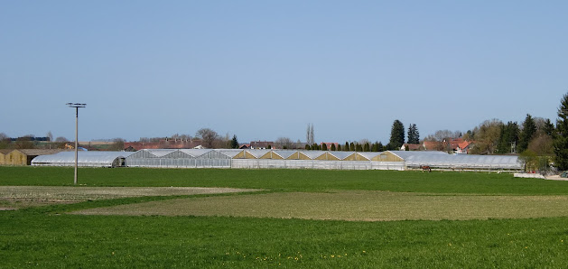 Gärtnerei Bunzel
