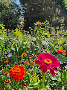 Moni`s Insektengarten