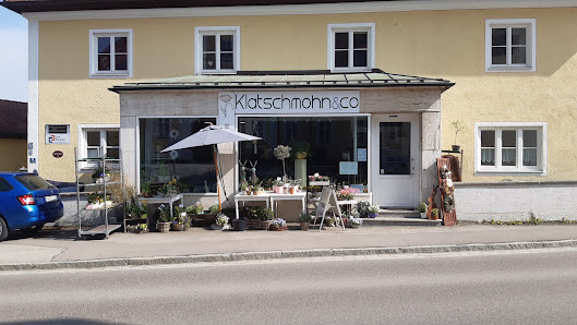 Klatschmohn & co