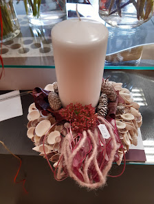 Klatschmohn & co