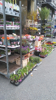 Blumenladen Fachgeschäft