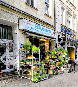 Blumenladen Fachgeschäft
