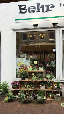 Blumen Behr