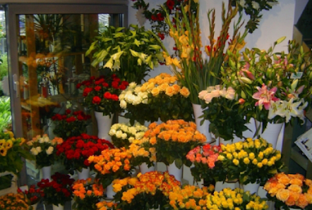 Blumen Hesse