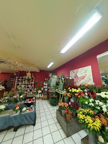 Blumen Flora