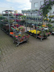 Blumen & Gartencenter Chro
